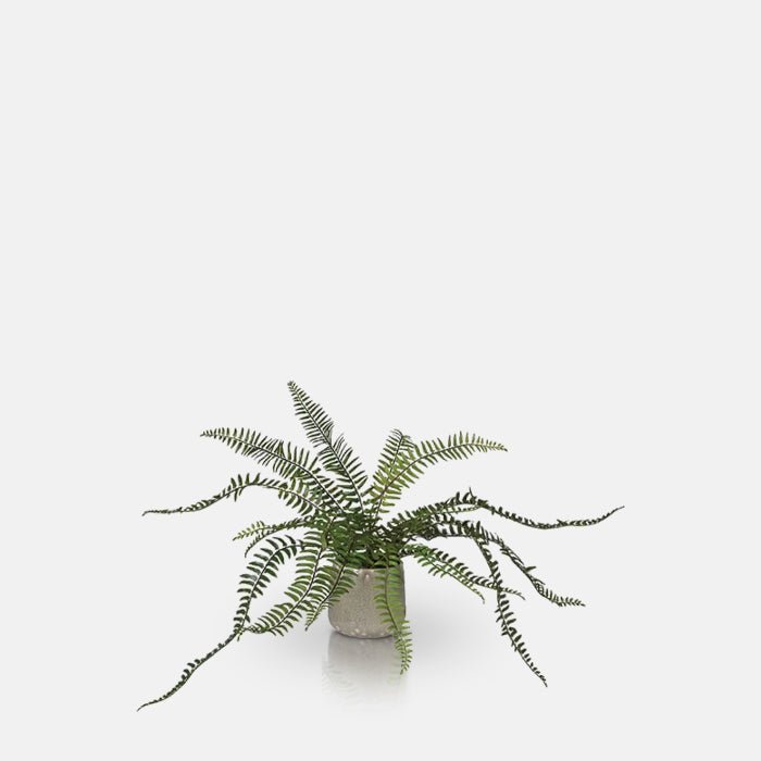 A cuout of the Artificial Fern in Khaki Pot, a tall faux potted fern in a glossy khaki coloured glazed ceramic pot.