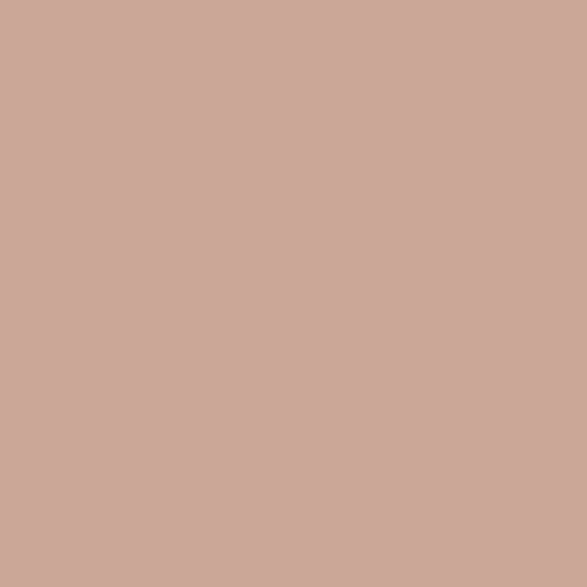 Monterey Blush Paint