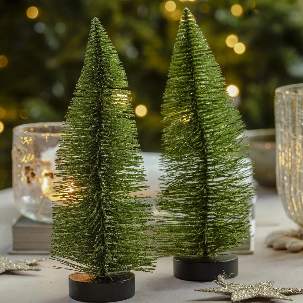 Orian medium green tree stands beside a taller green tree, showing dense bottlebrush branches and dark round bases against a background of warm Christmas lights.
