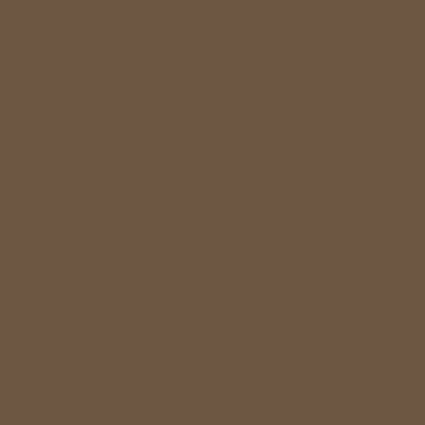 Owasco Olive Paint