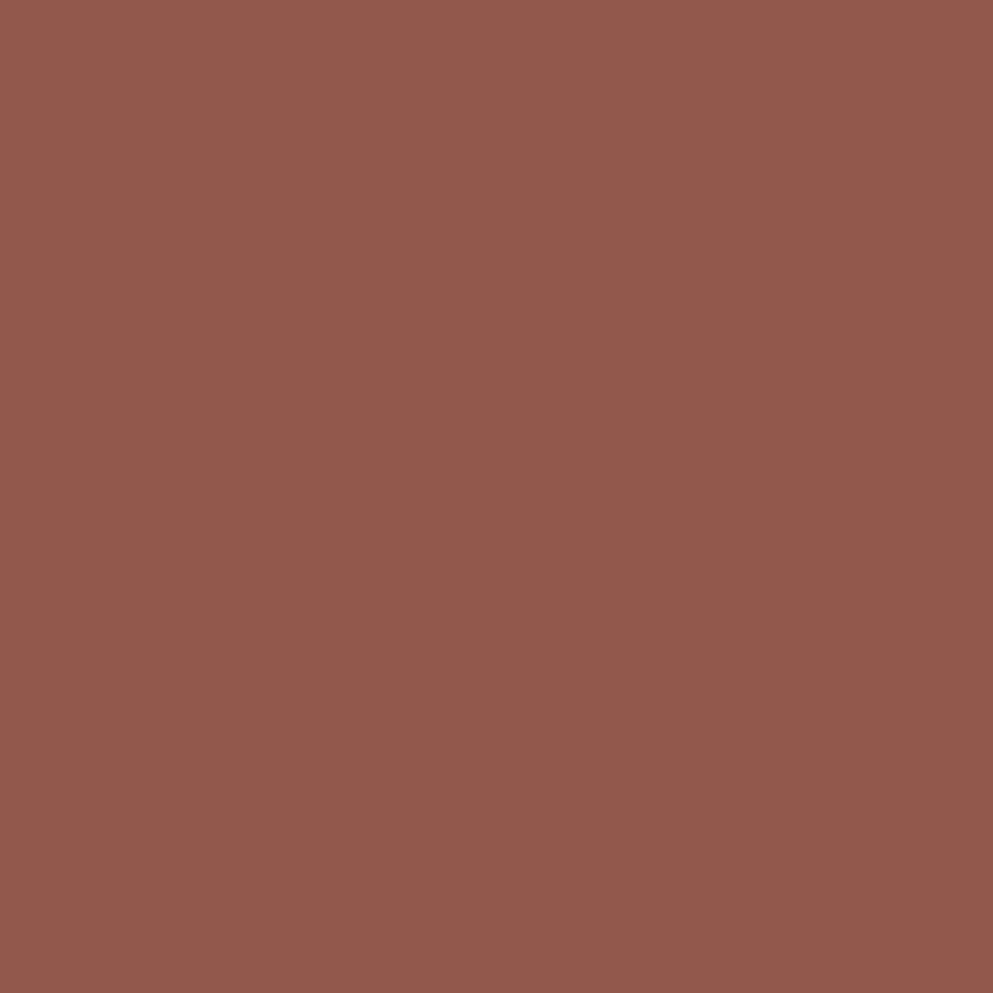 Rocky Desert Paint