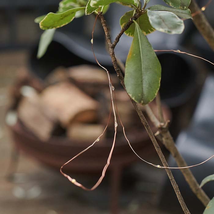 Copper coloured string lights woven around some small branches on a tree