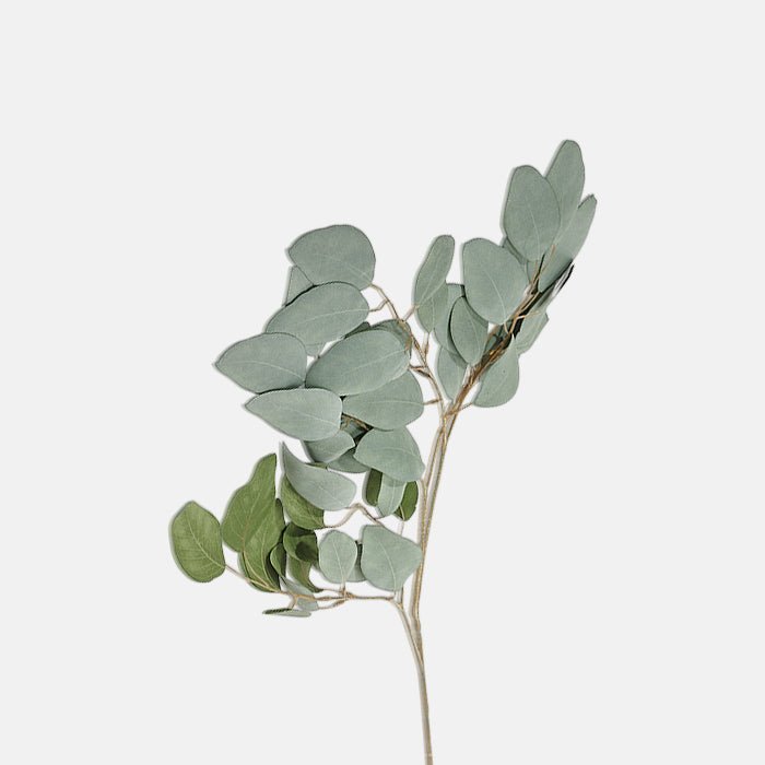 Round green leaves covering a tall brown branch stem