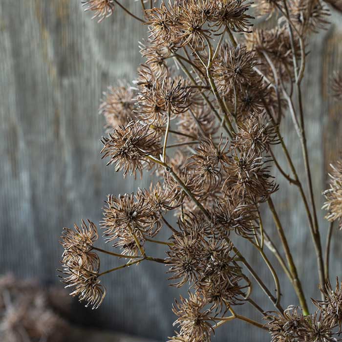 Artificial hazel faux fake flower spiky brown stems botanical realistic Abigail Ahern closeup