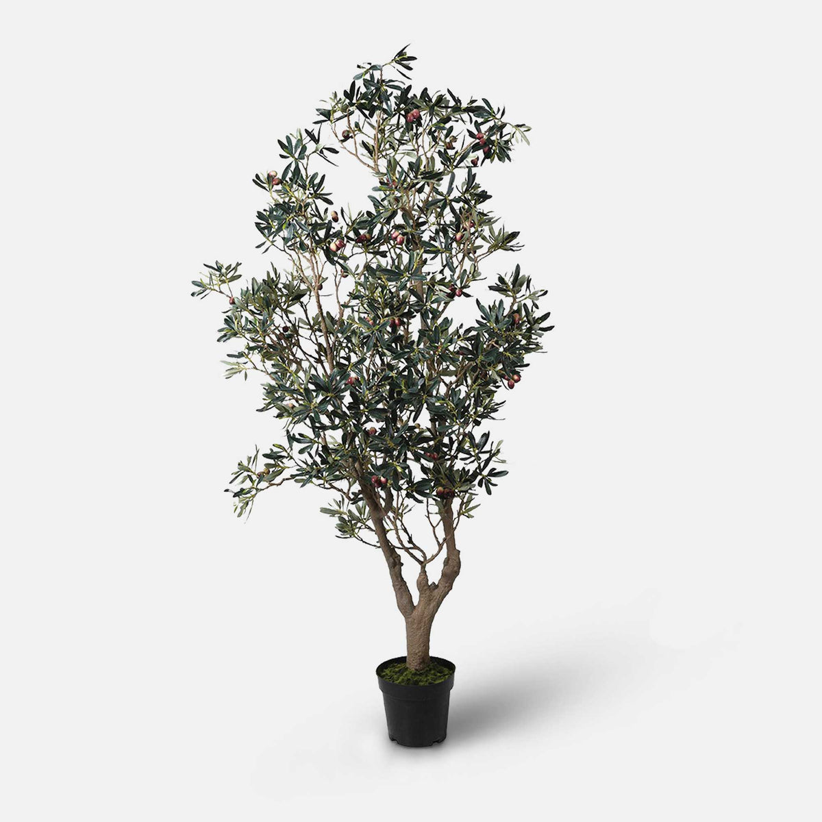 Artificial olive tree large potted faux fake plant cutout green black pot realistic Abigail Ahern