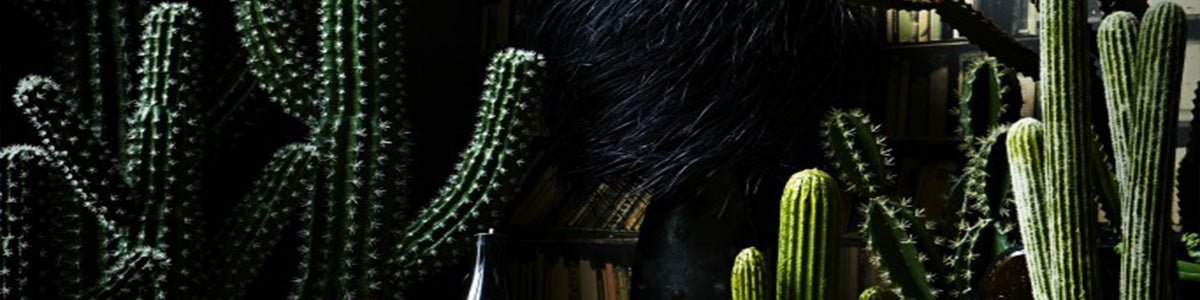 Unexpected styling tips