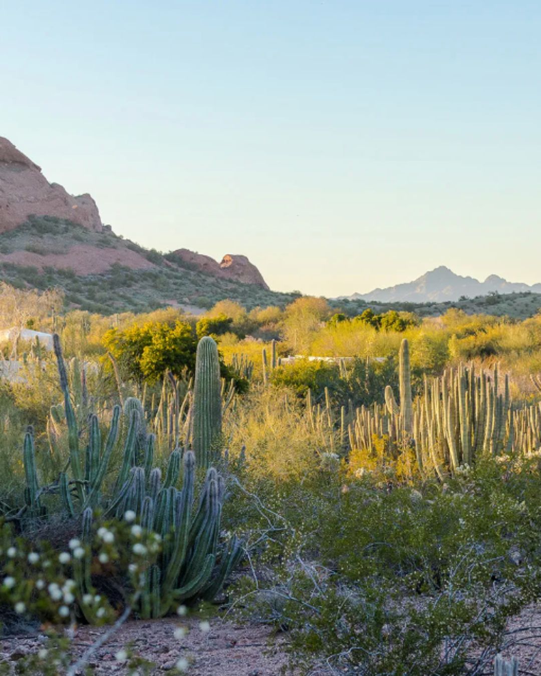 Places That Inspire