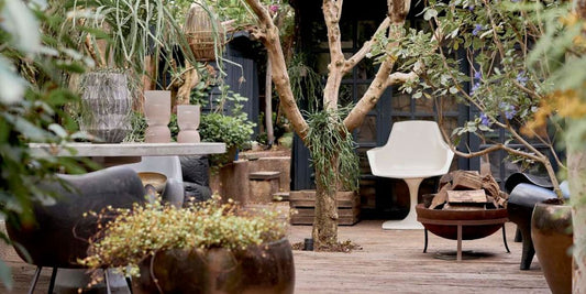 Abi's Favourite Plant Nurseries