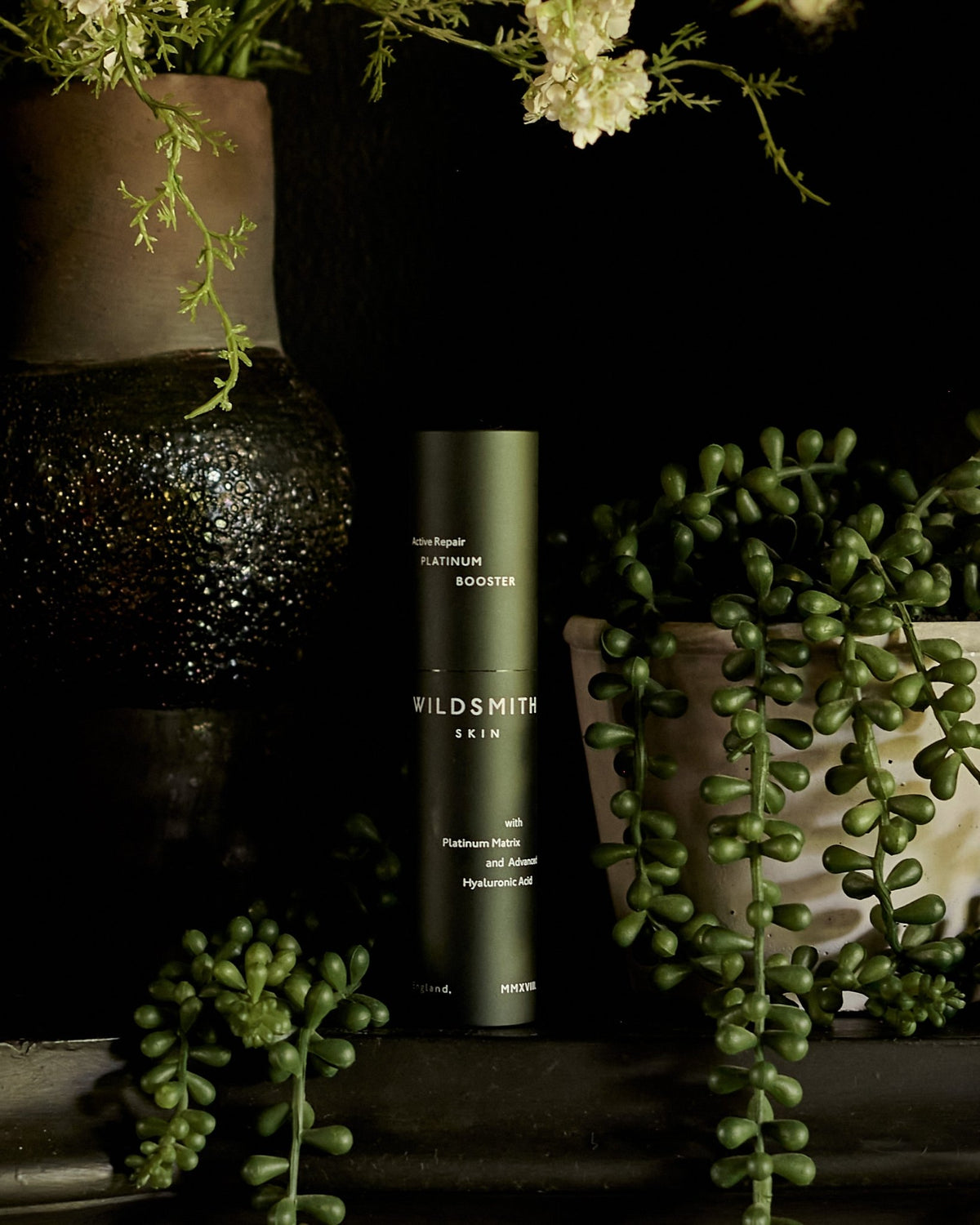 Abigail Ahern x Wildsmith Skin