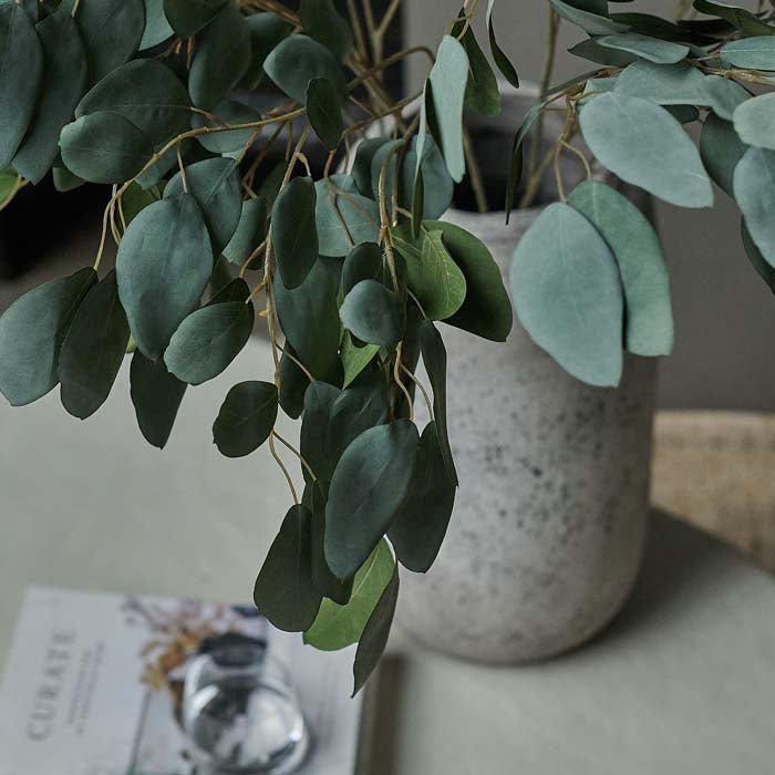 Faux Eucalyptus - Abigail Ahern