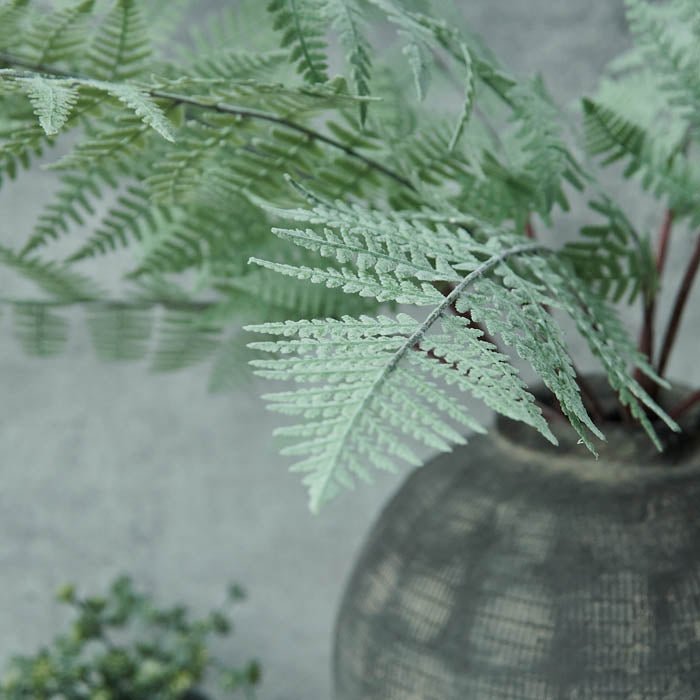 Faux Fern - Abigail Ahern