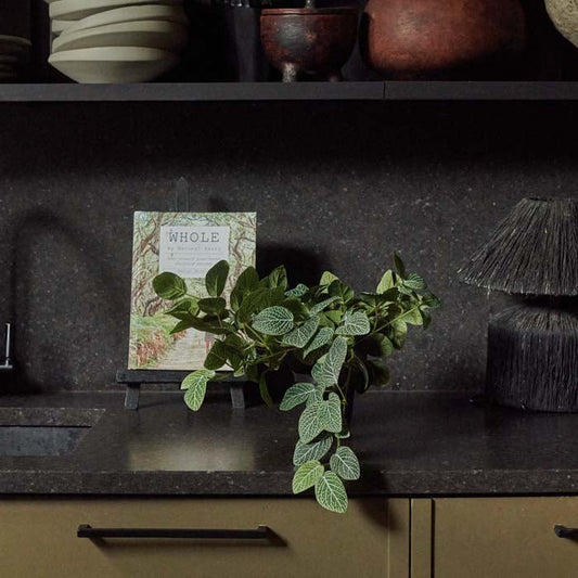 A potted faux plant with large green leaves sat on a black kitchen worktop