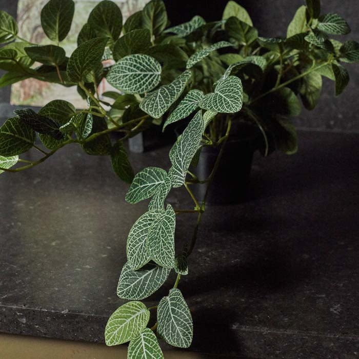 Multiple triangular shaped green leaves with white veining on an artificial potted plant