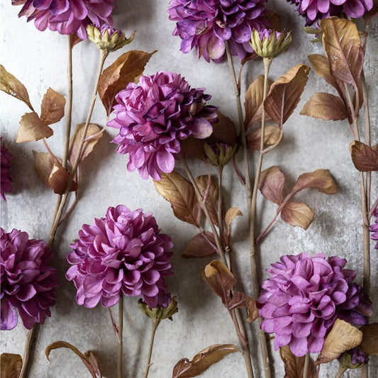 Artificial dried look dahlia flowers in rich pink purple tones.