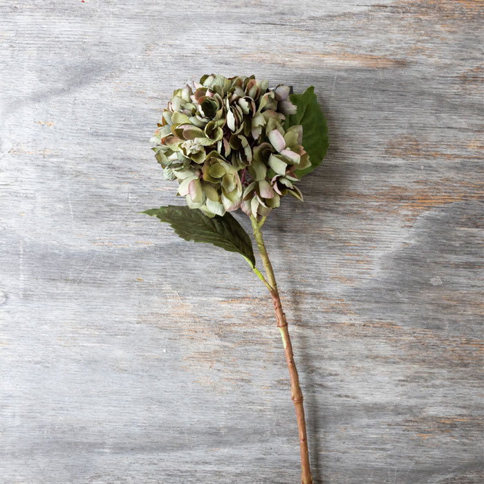 Artificial hydrangea with pale green flower head, brown stem and two green leaves.