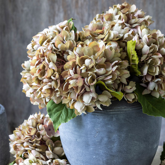 Artificial hydrangea flowers, with natural pinky-brown colour, in grey stoneware vase.