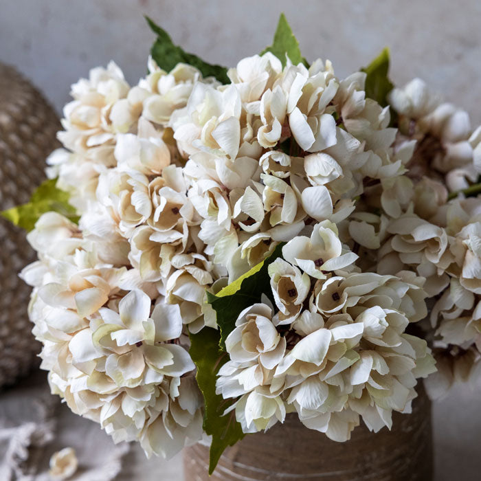 Artificial cream hydrangea flowers in vase.