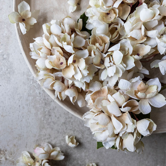 Artificial hydrangea flowers in creamy white colour.