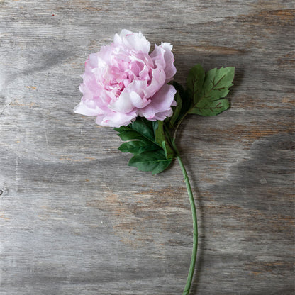 Artificial peony stem with soft pink flower head and green stem and leaves.