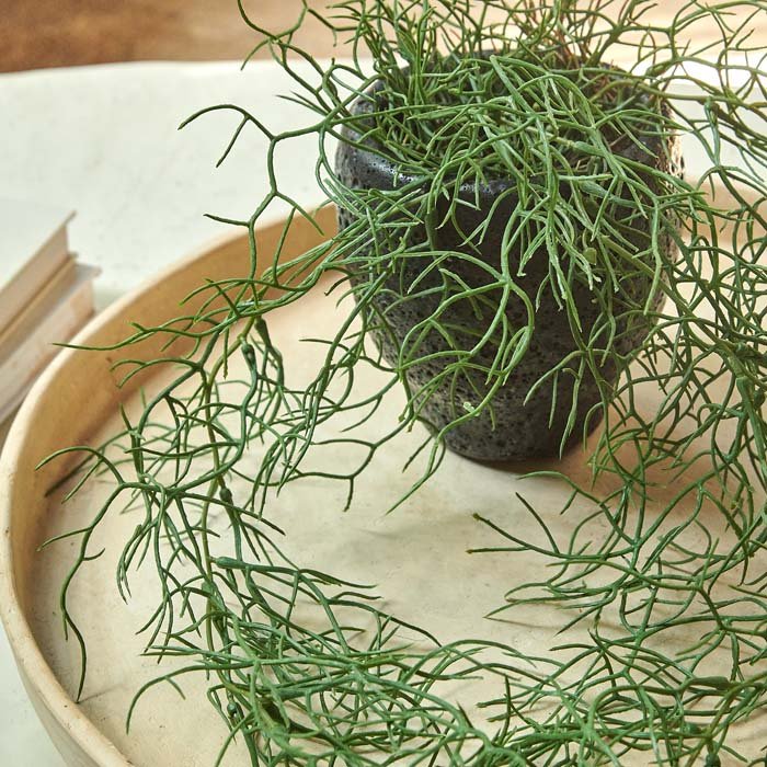 A few stems of artificial trailing asparagus fern with a green spiky texture in a grey ceramic pot.