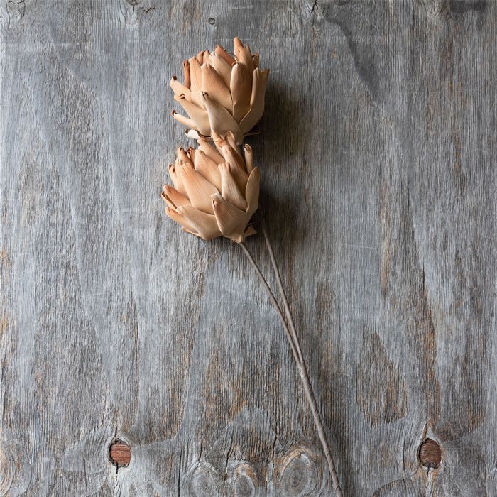 Artificial lotus flower orange terracotta faux fake paper stem botanical realistic Abigail Ahern