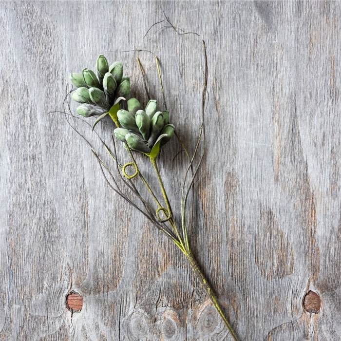 Artificial seafoam thistle green faux fake flower stem botanical realistic Abigail Ahern structural