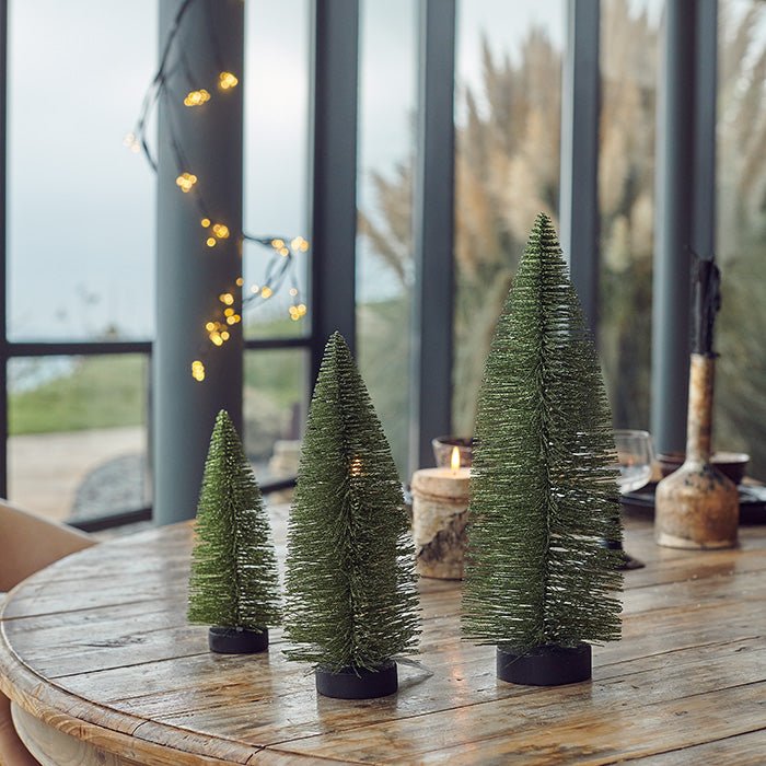 Three mini Christmas trees displayed on a table. 