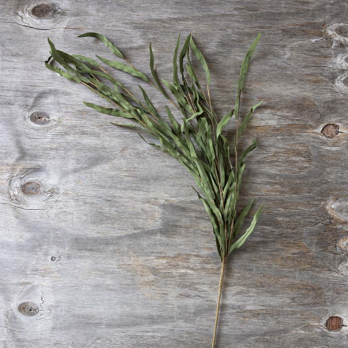 Artificial willow branch sage green faux fake foliage stem botanical realistic home decor flatlay