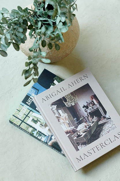 Image of two hardback books from Abigail Ahern, one called Masterclass and the other called Everything. The books are sitting next to a faux plant styled in a ceramic vase.