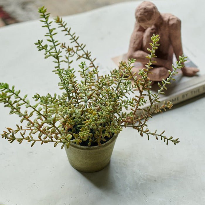 Artificial Burrito Sedum in Pot