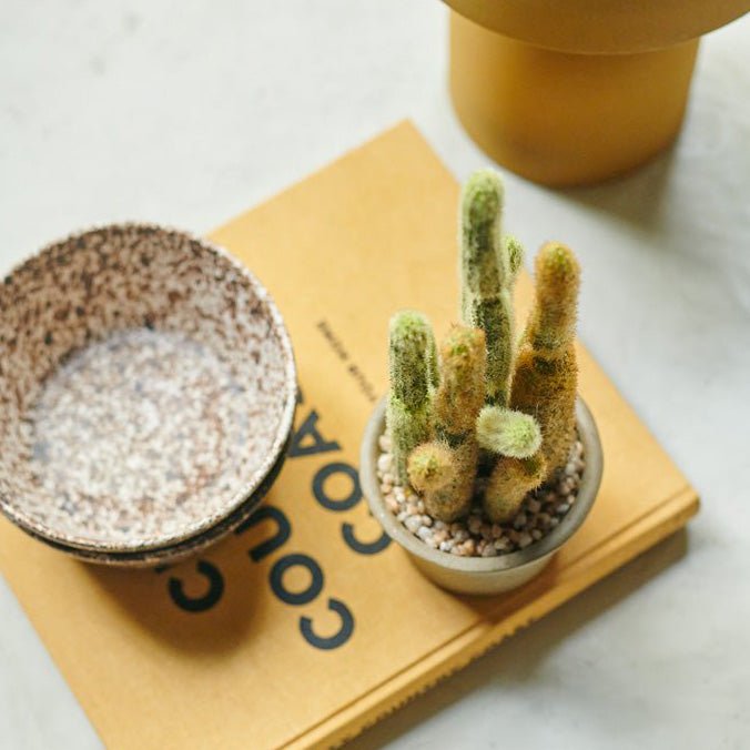 A small yellow and green faux cactus in a pot on a yellow book.