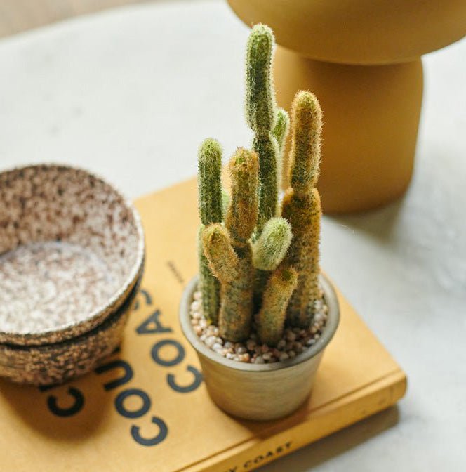 A small artificial cactus in a pot on a yellow book.