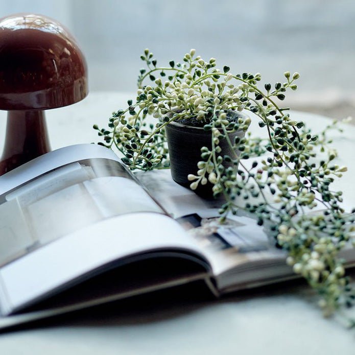 A small faux string of pearls plant in a pot sitting on an open book.