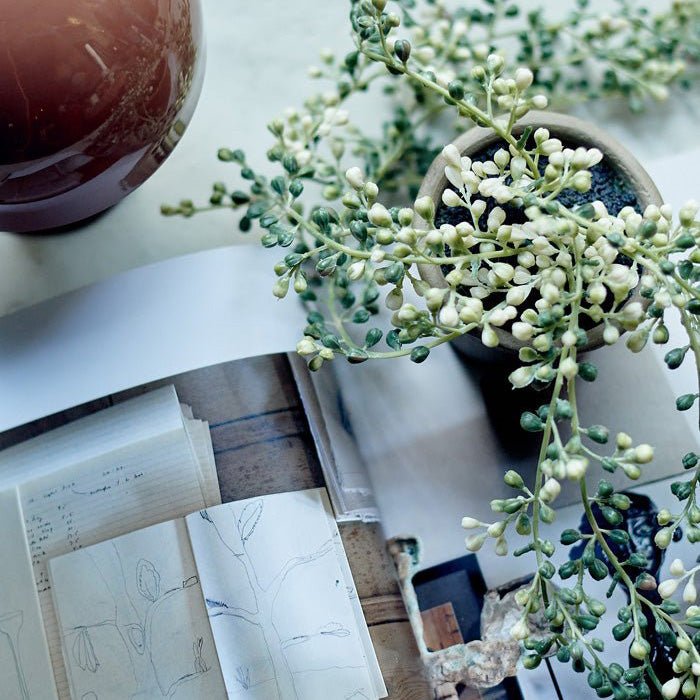 A small artificial trailing plant with green bulbs along the stems.