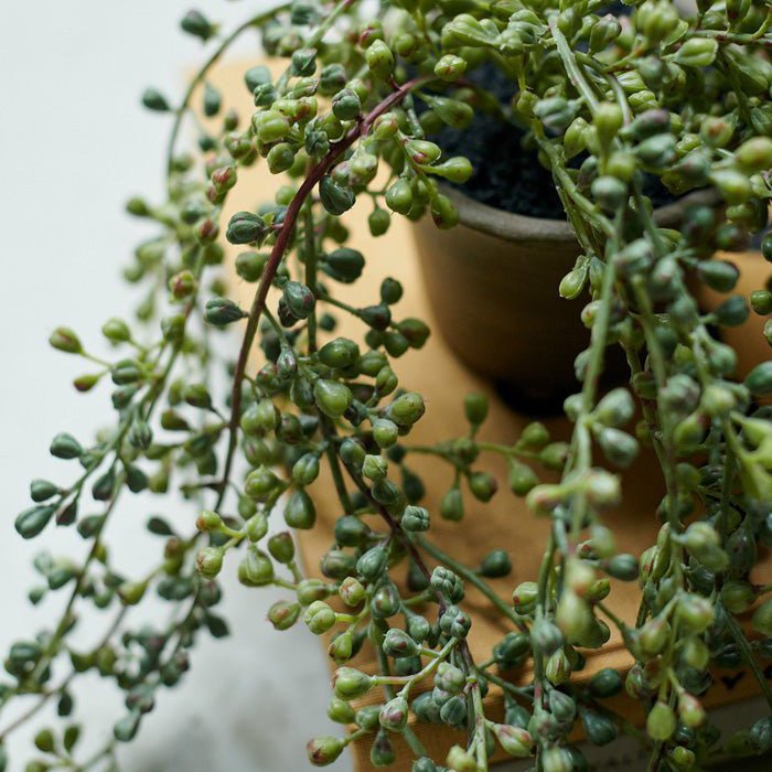 Artificial Trailing String of Beads