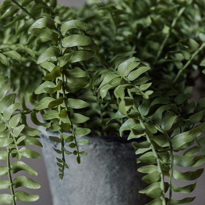 Artificial Boston Fern in Pot