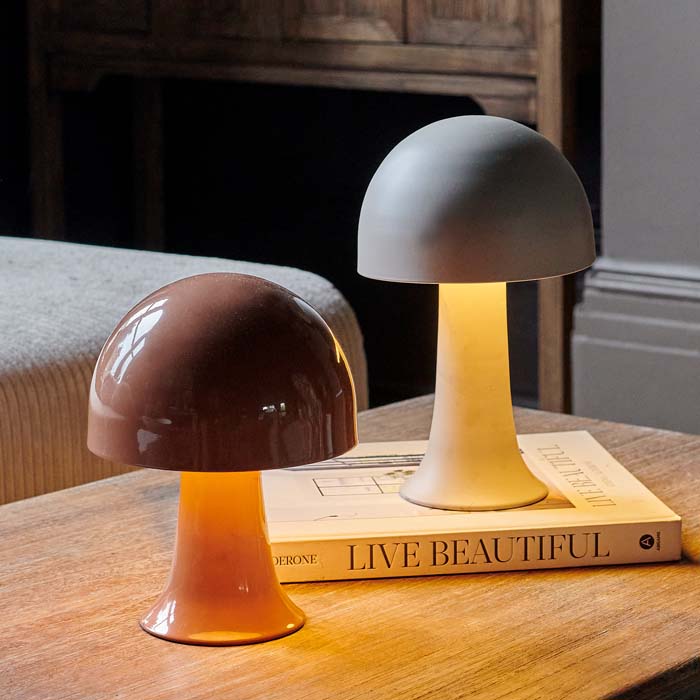 Two dome shaped LED lamps on a coffee table, one with a shiny finish and brown colour, and the other with a matte finish in a soft grey colour. 