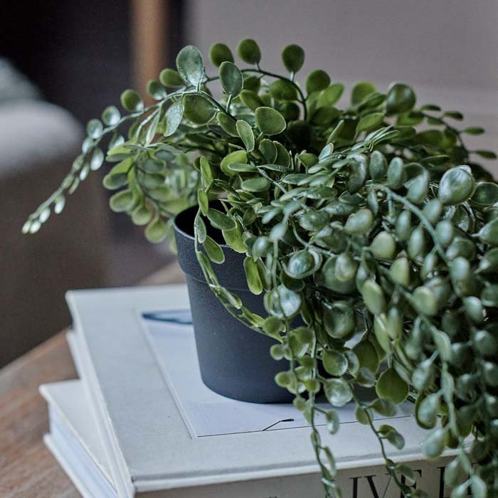 faux cascading potted plants Artificial Trailing Button Fern | Faux Hanging Plant