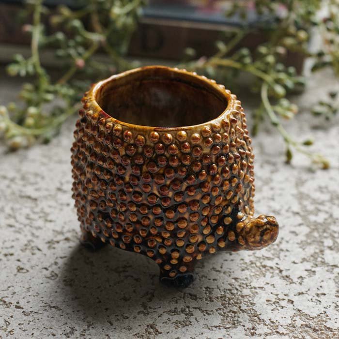 Close up image of our small ceramic tortoise pot. The brown pot has a raised, bumpy texture and a glazed finish.
