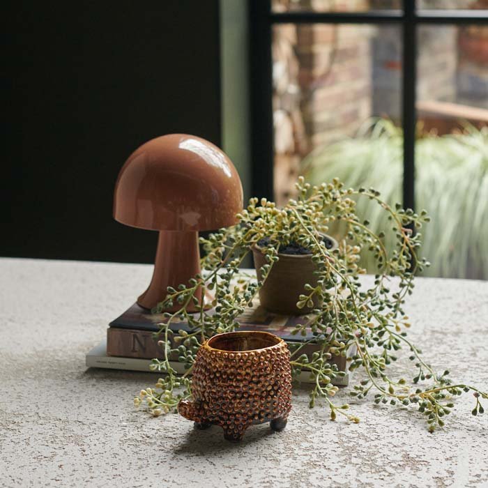 A small ceramic tortoise pot with a raised pebble texture in front of a small lamp and a faux plant.