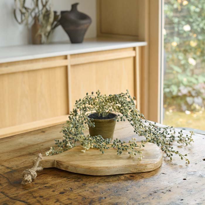 The Teram Wooden Board, a small serving board in light wood with an organic shape and a short rope handle, with a faux plant.