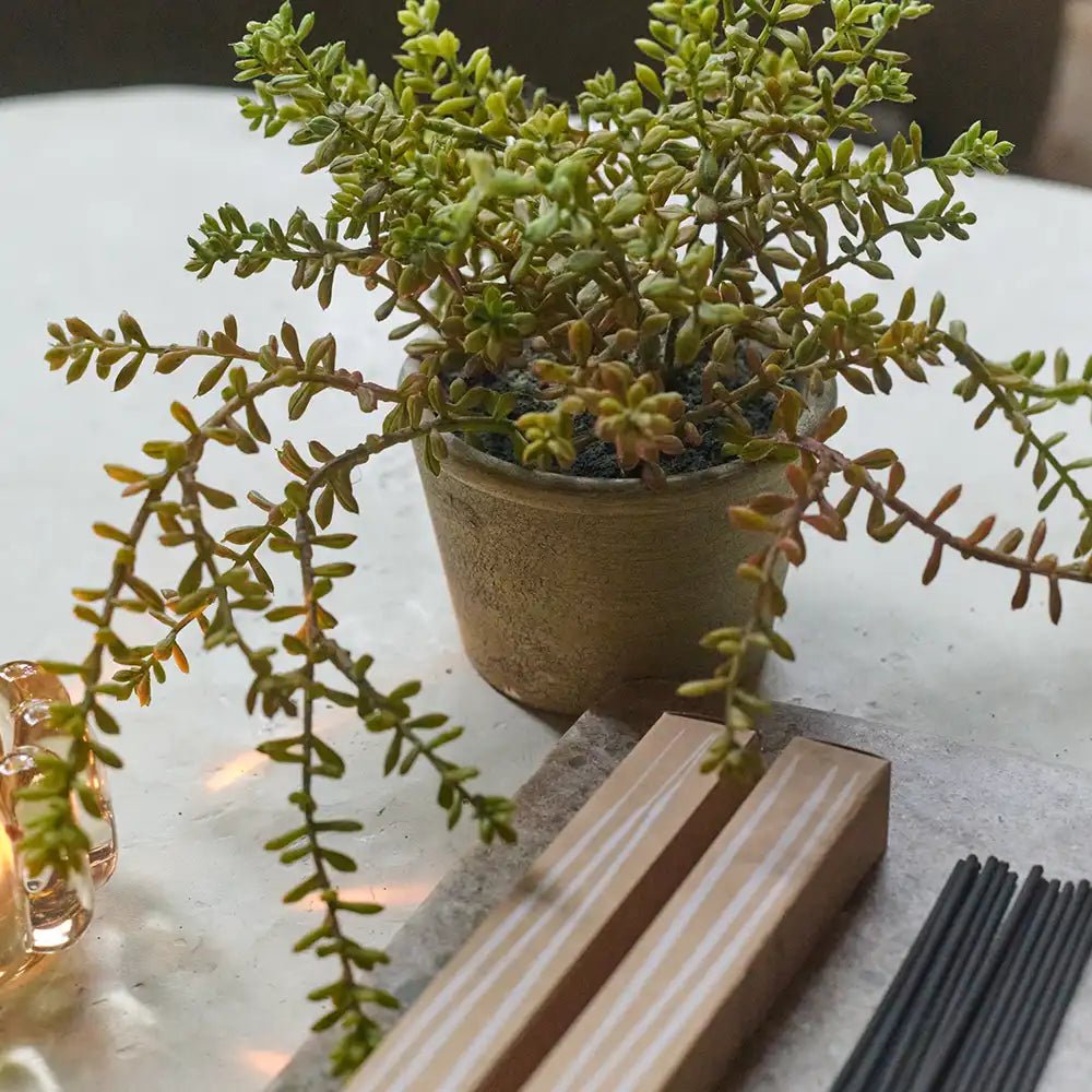 Artificial Burrito Sedum in Pot