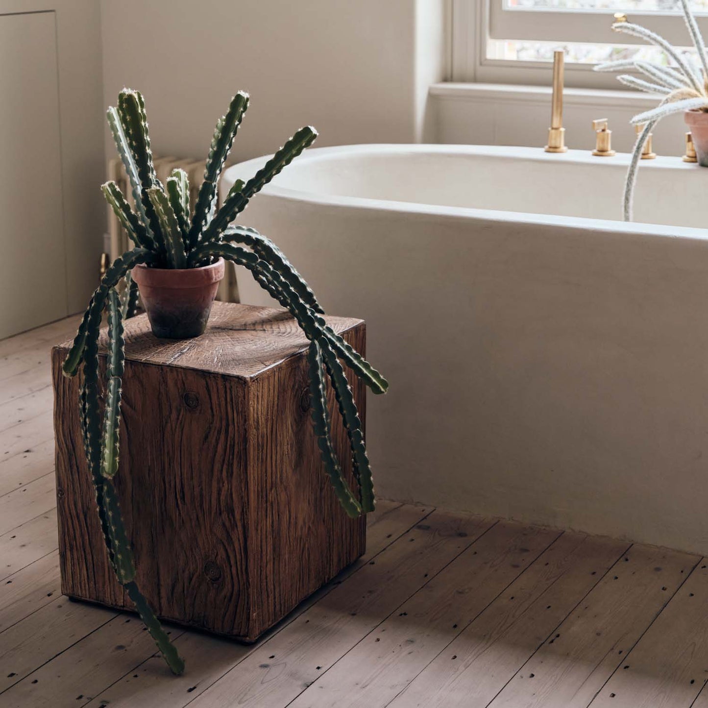 Artificial Trailing Hurricane Cactus
