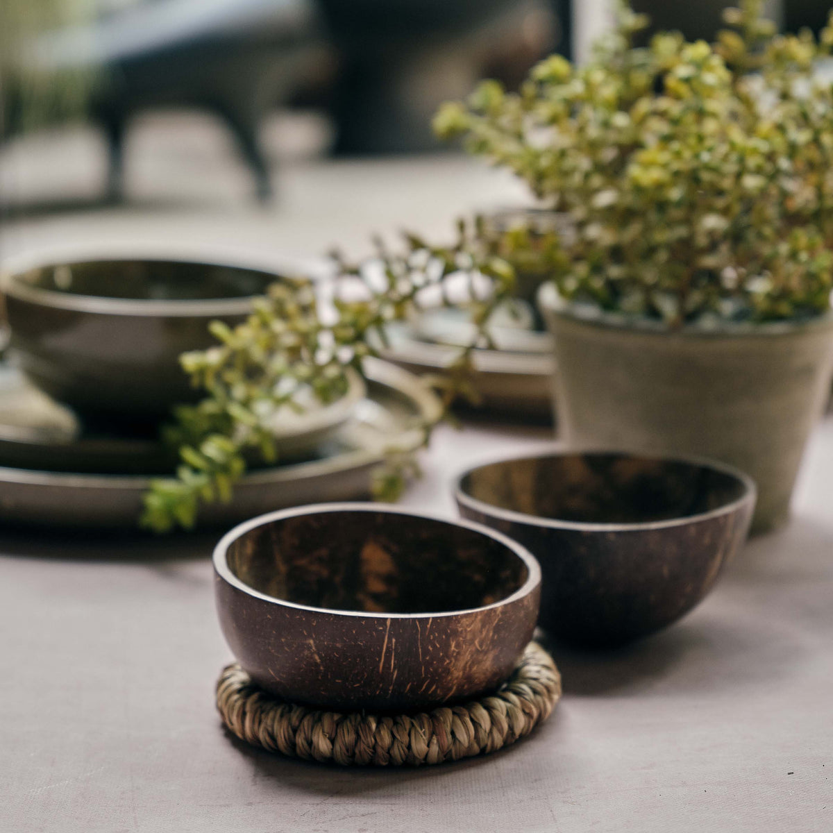 Havana Coconut Bowl