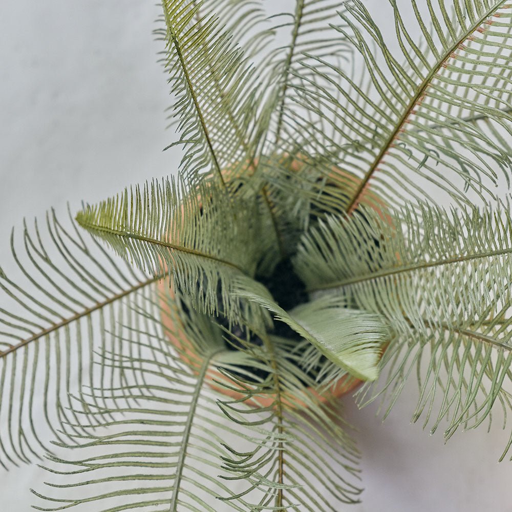 Artificial Fern in Clay Pot