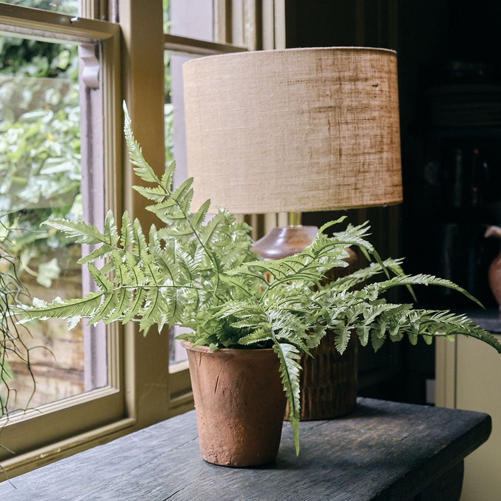 Artificial Fern in Terracotta Pot