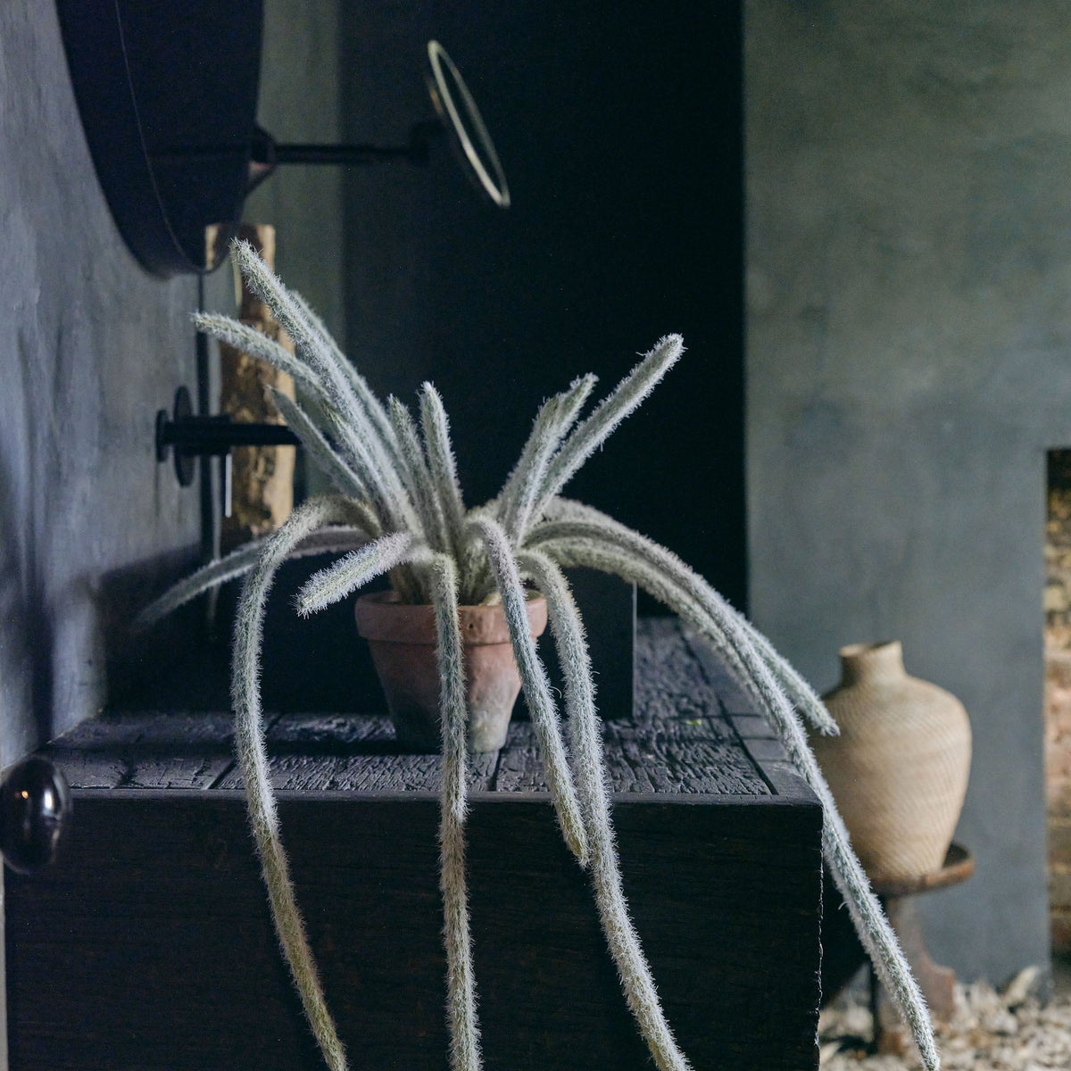 Artificial Trailing Monkey Tail Cactus