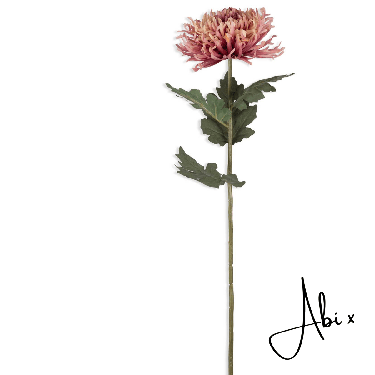 Artificial Chrysanthemum, Sunset