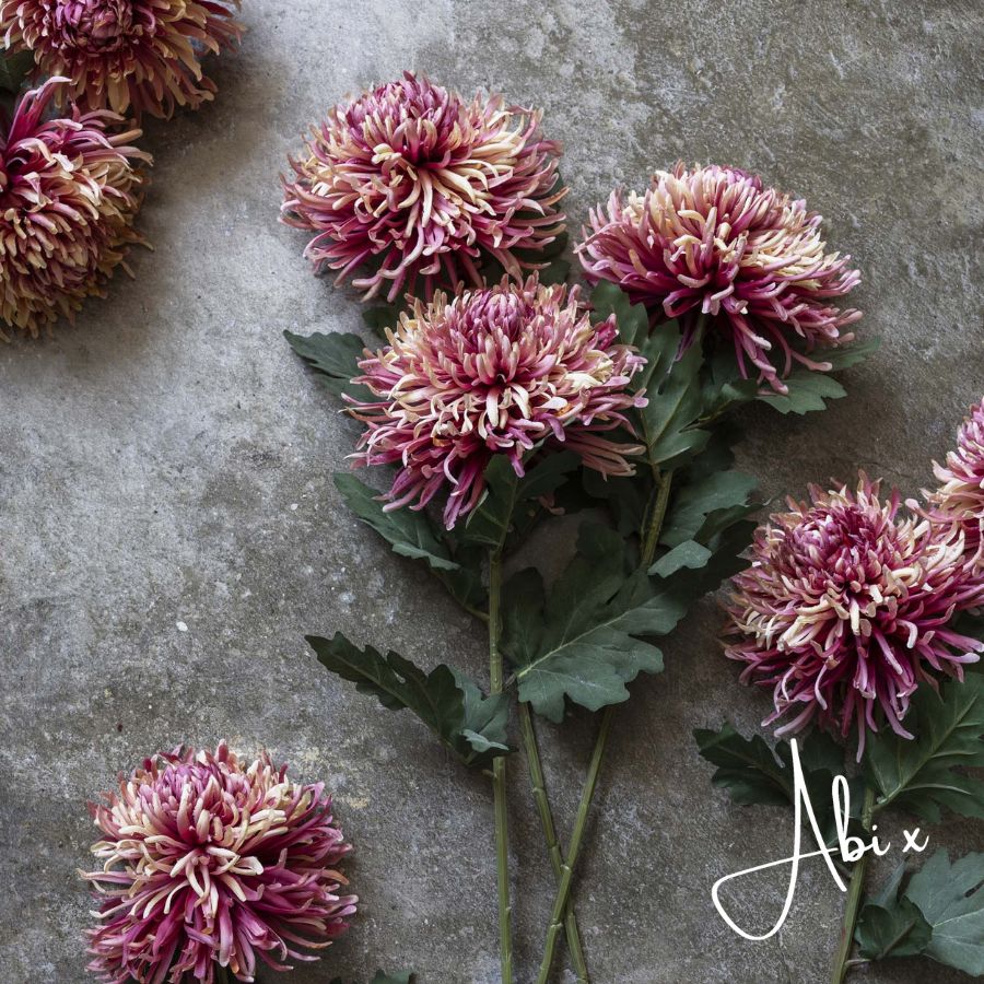 Artificial Chrysanthemum, Sunset