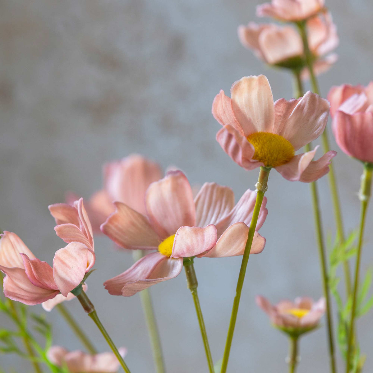 Artificial Cosmos Meadow, Soft Pink